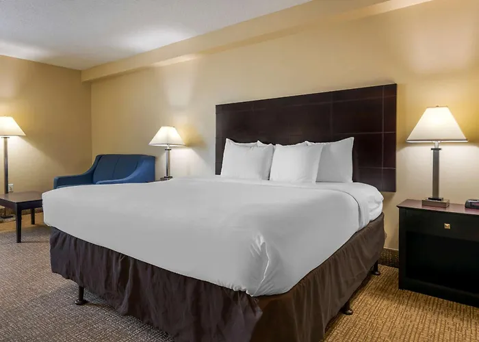 Comfort Inn International Drive