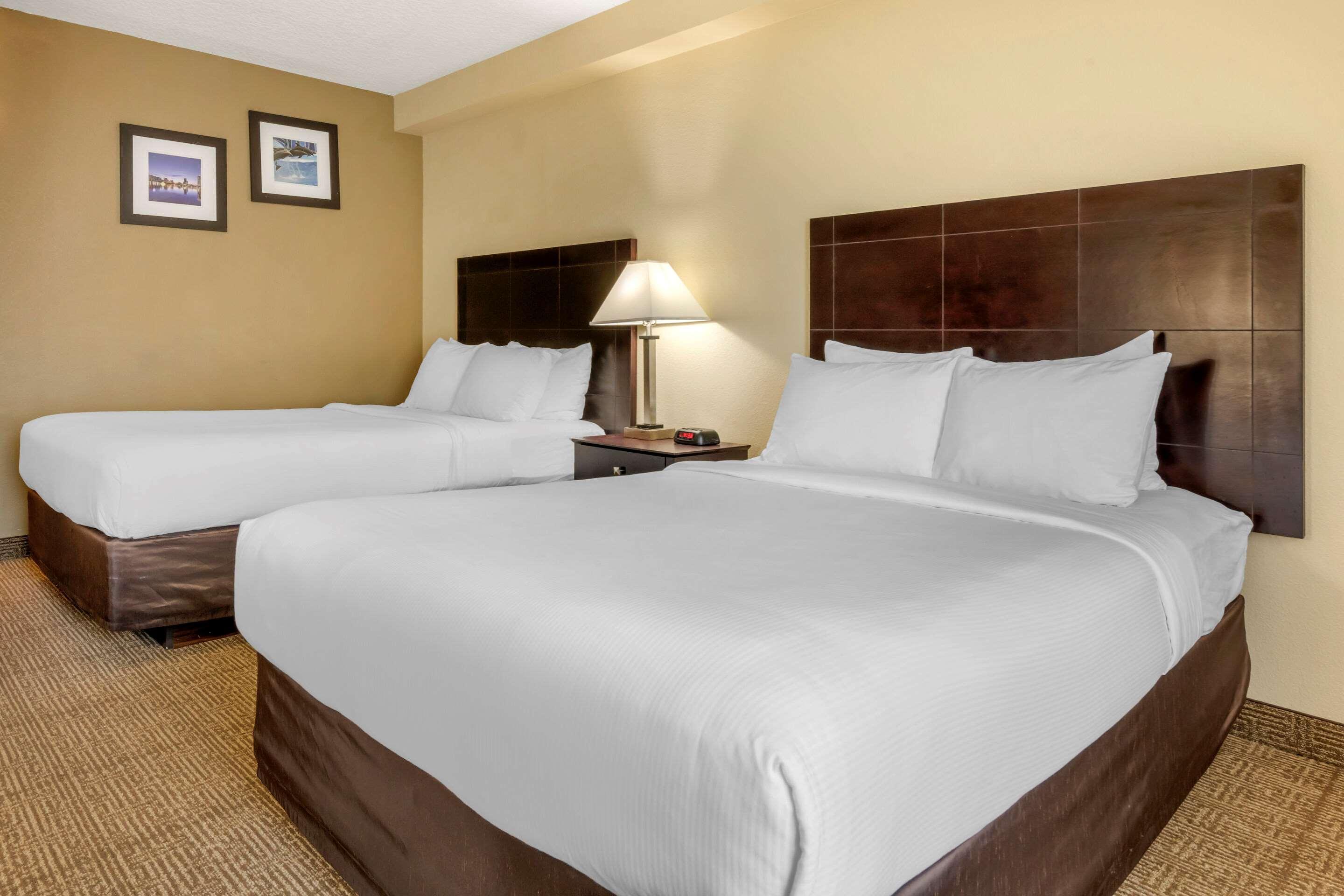 Comfort International Drive Gasthof Windermere