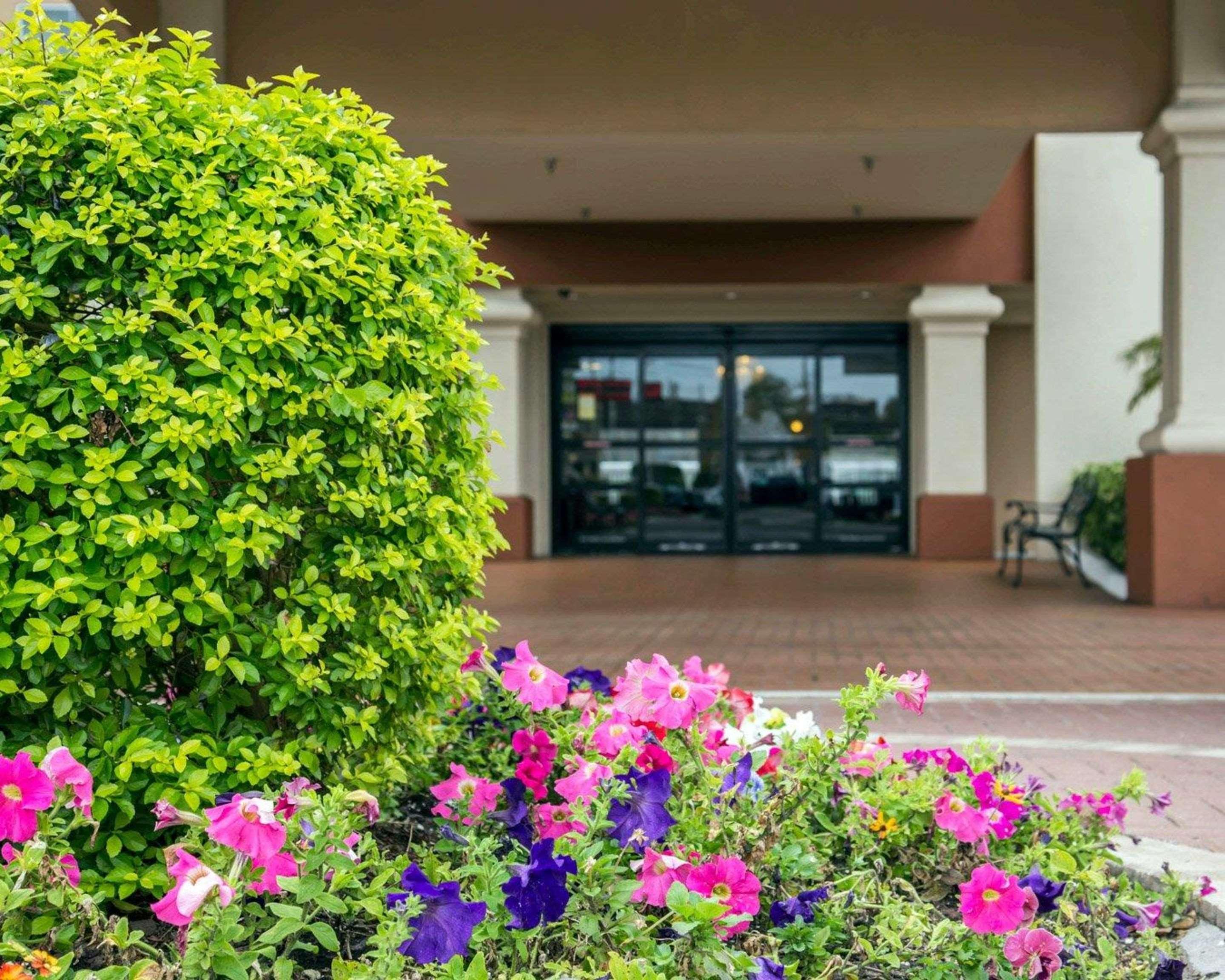 Comfort International Drive Windermere